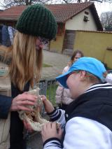 Schülerin ertastet Schädel im Zoo