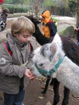 Kind mit Alpaka