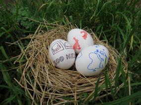 Bemalte Eier in einem Nest