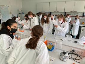 Teilnehmerinnen im Lernlabor beim Pipettieren von DNA-Proben.