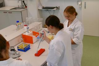 Pipettieren im Lernlabor