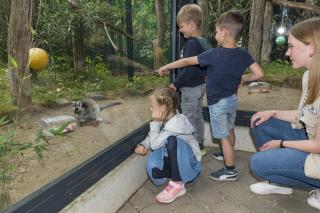 Kinder bei den Kattas