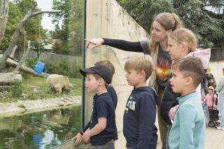 Angebote im Zoo