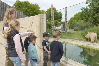 Gruppe bei den Bären