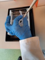 Pipettieren