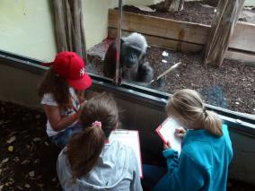 Kinder mit Klemmbrettern vor Schimpansin