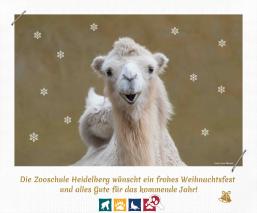 Weihnachtskarte