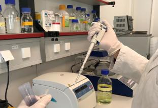 Einmal Wissenschaftler im Labor sein und mit einer Pipette z.B. den Faden des Lebens enthüllen: Das und vieles mehr erleben Teilnehmer bei den Labor-Workshops.