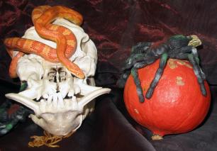 Gruseliges Zoo-Halloween