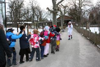 Tierisches Helau in der Zooschule Heidelberg