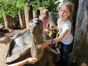 Kinder pflegen Schildkröte Ferienkinder bei den Riesenschildkröten