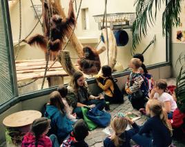 Schülergruppe bei den Orang-Utans