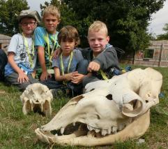 Ferien im Zoo