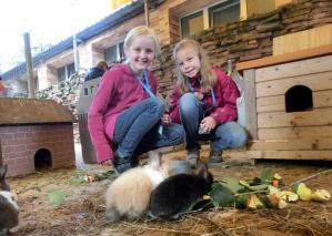 Kinder bei den Meerschweinchen