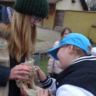 Schülerin ertastet Schädel im Zoo