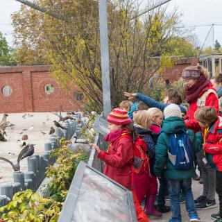 Bei den Angeboten in den Weihnachtsferien erkunden die Gruppen je nach Thema unterschiedliche Zoobereiche.
