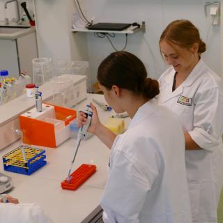 Pipettieren im Lernlabor