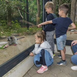 Kinder bei den Kattas