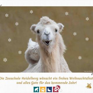 Weihnachtskarte