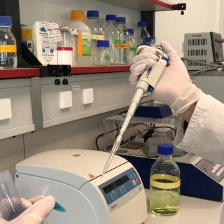 Einmal Wissenschaftler im Labor sein und mit einer Pipette z.B. den Faden des Lebens enthüllen: Das und vieles mehr erleben Teilnehmer bei den Labor-Workshops.