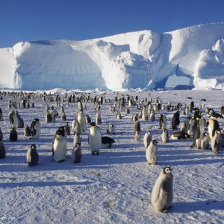 Bedrohte Eiswelt