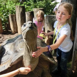 Ferienkinder bei den Riesenschildkröten