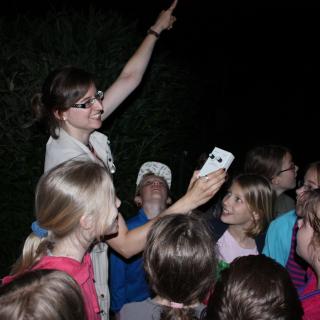 Fledermausbeobachtung beim Zoo-Camp